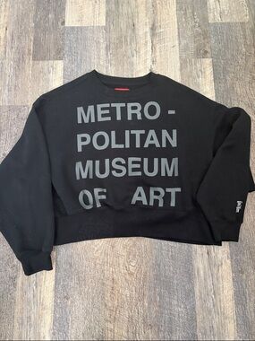 Official Metropolitan Museum of Art x PacSun Boxy Sweatshirt